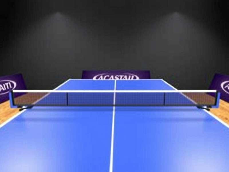 Strategies from top Indian Elite Table Tennis Duel players Indian Pro Player Guide